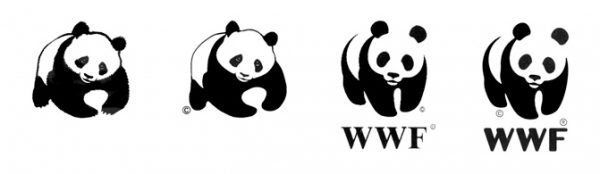 Wwf Logo Evolution Logo Geek